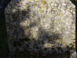 image of grave number 958758
